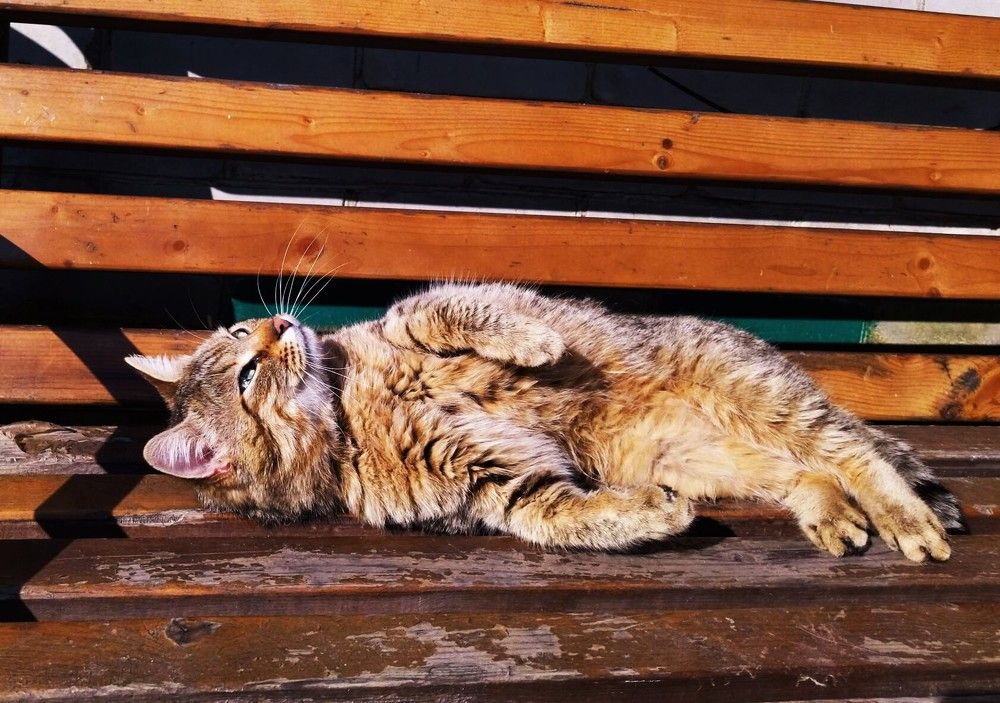 Photograph by Лариса Басова