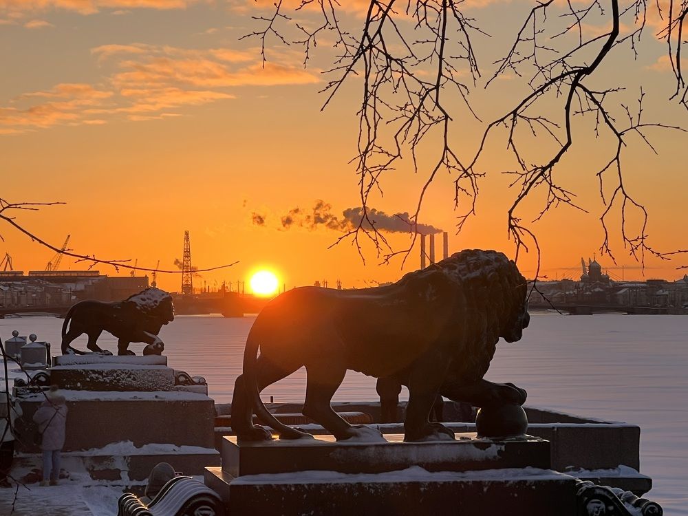 Photograph by Ксения Любченко