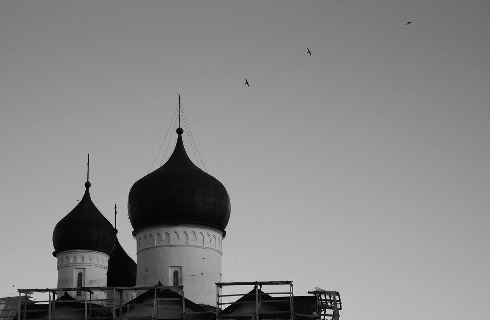 Photograph by Эльвира