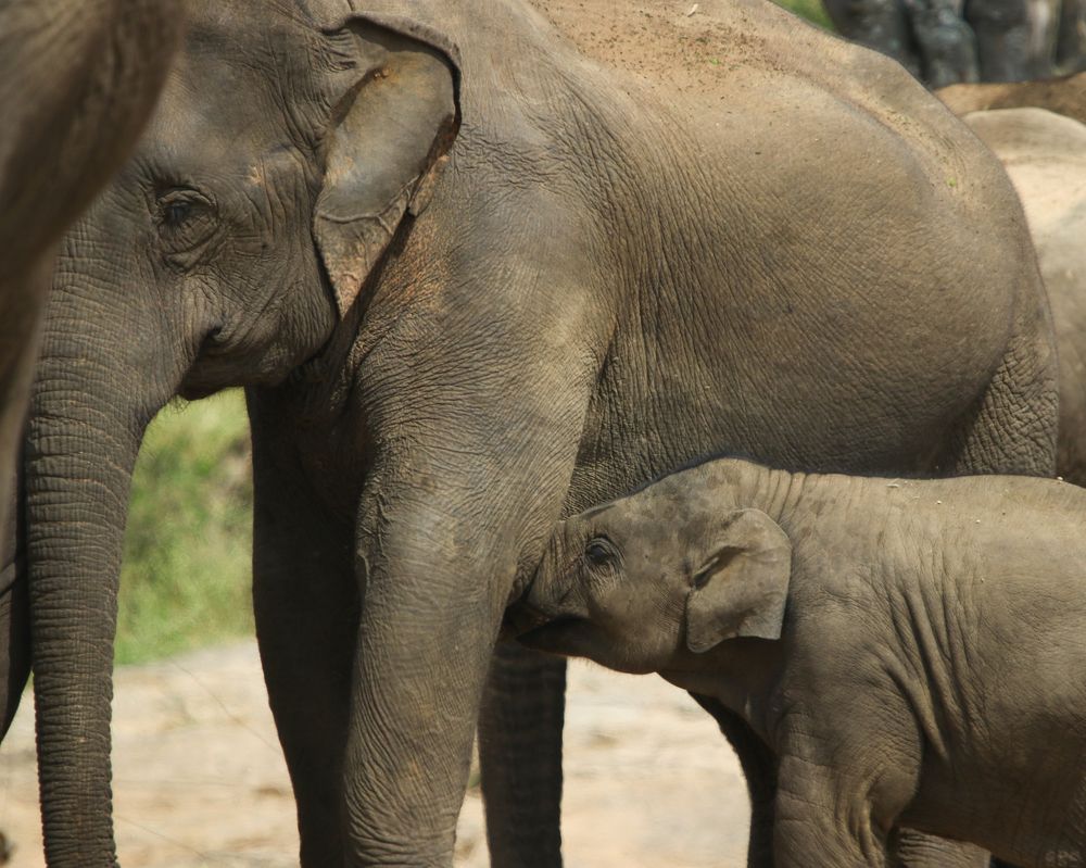 Photograph by Jemy Jose Mathew