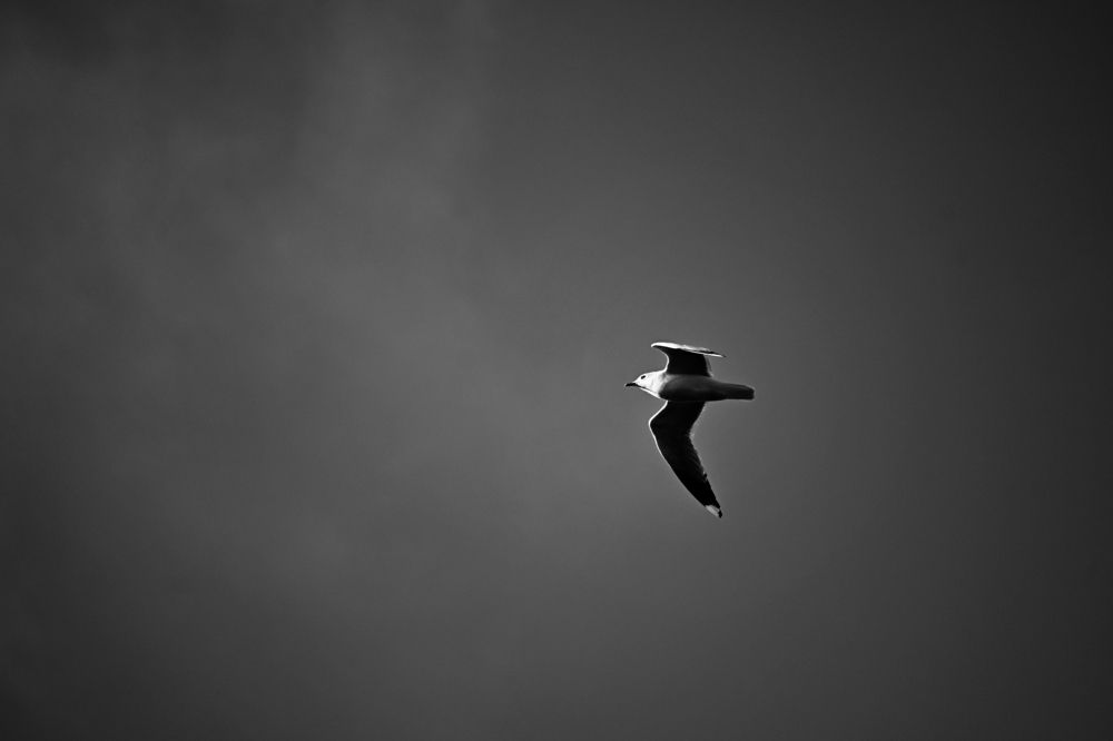 Photograph by Анастасия Скачек