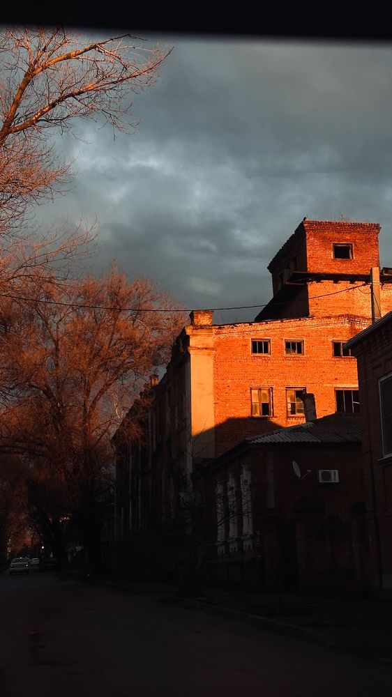 Photograph by Мокану Анастасия