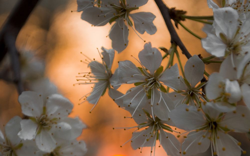 Photograph by Анна Ушакова