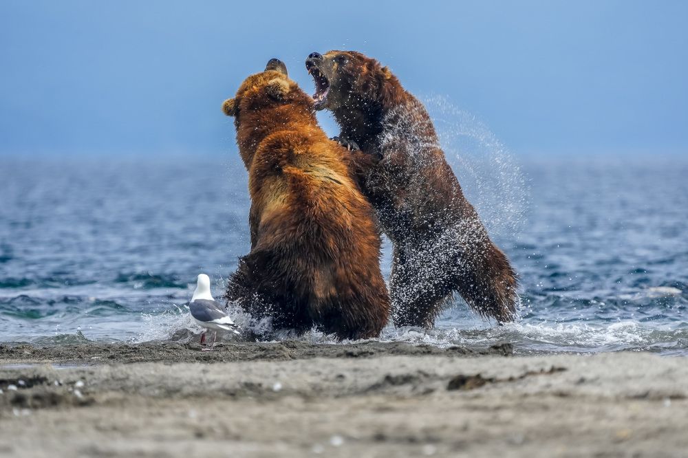 Photograph by Труханов Илья