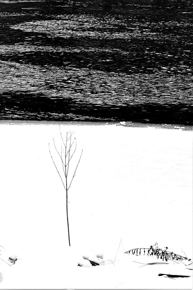 Photograph by Jelena