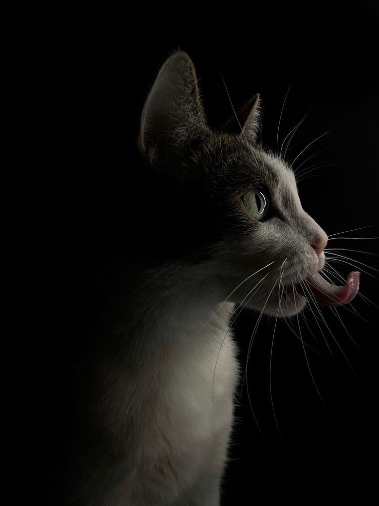 Photograph by Tatyana Tishko