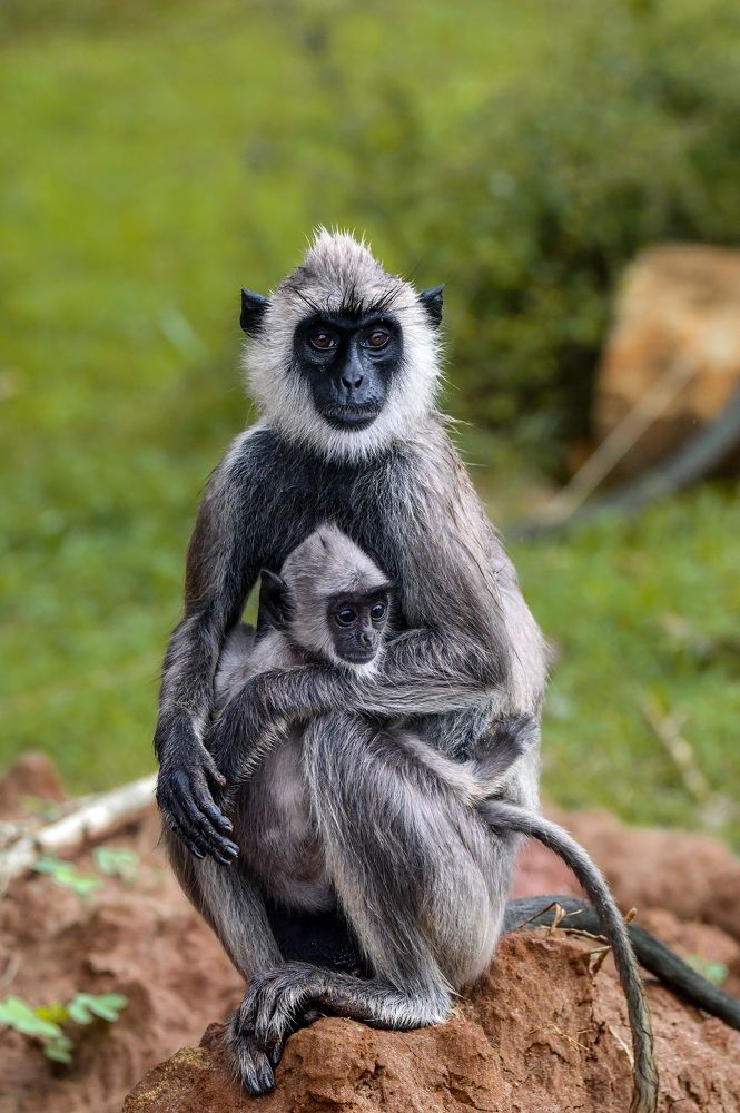 Photograph by Pakalon Janakan