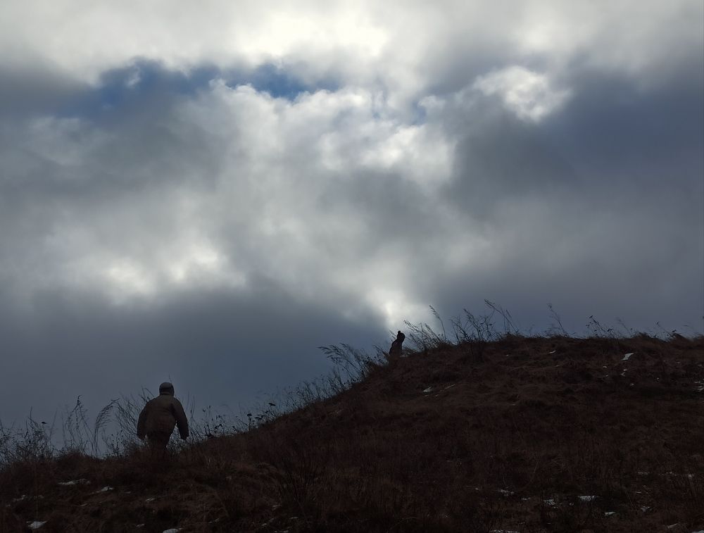 Крестный пойдём гулять