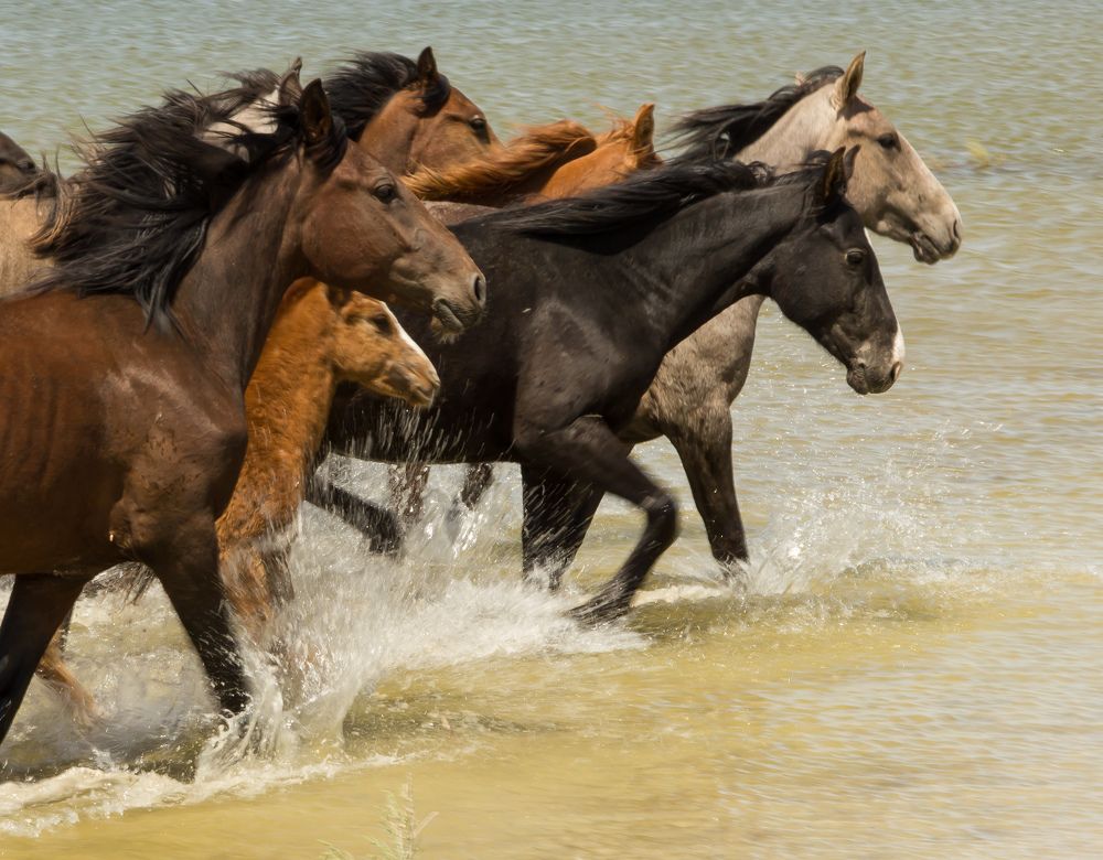 Фотография автора Игорь Русакевич