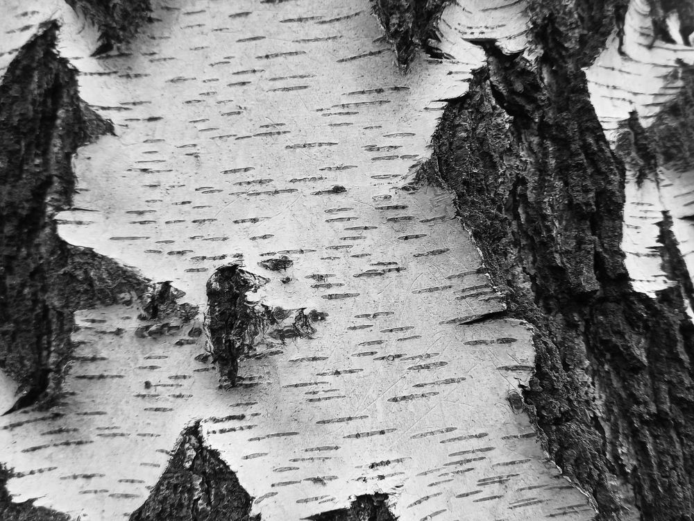 Фотография автора Иван