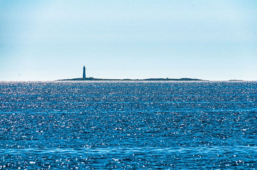 Photograph by Vladimir  Komarov