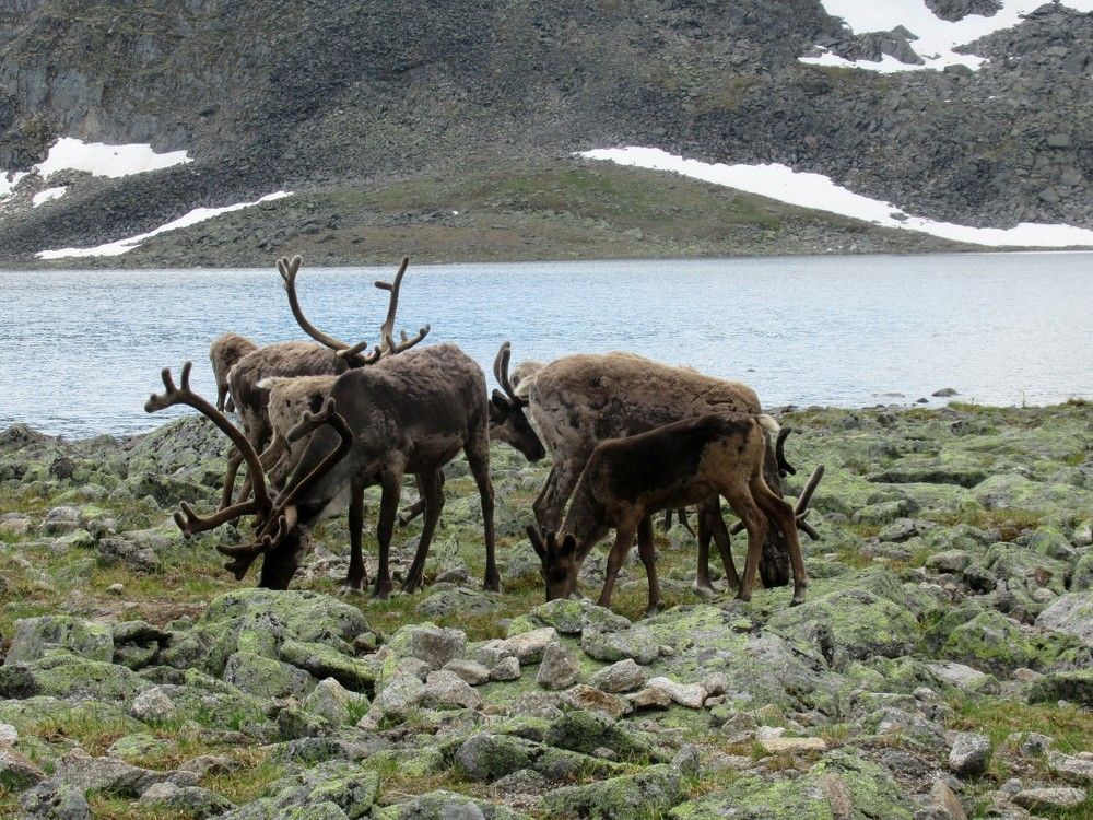 Photograph by Ольга Березовская