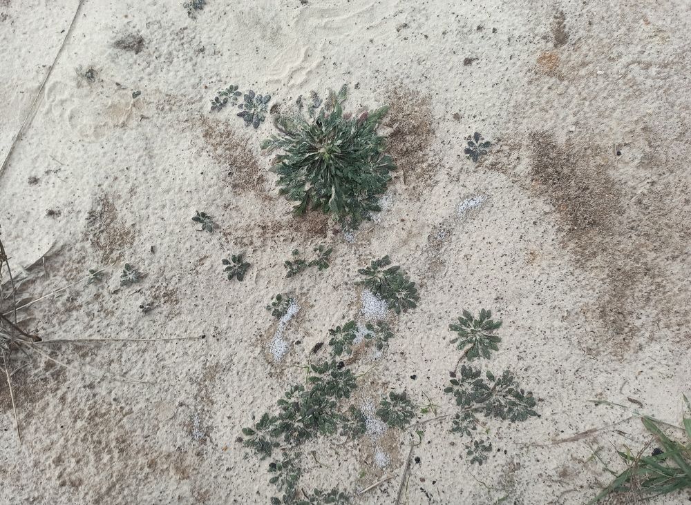 Фотография автора Иван