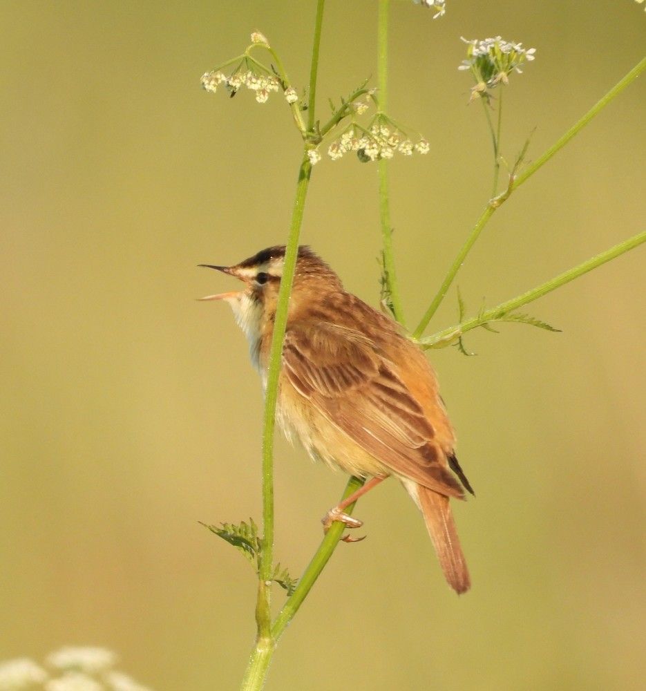 Photograph by Владимир Джерихов