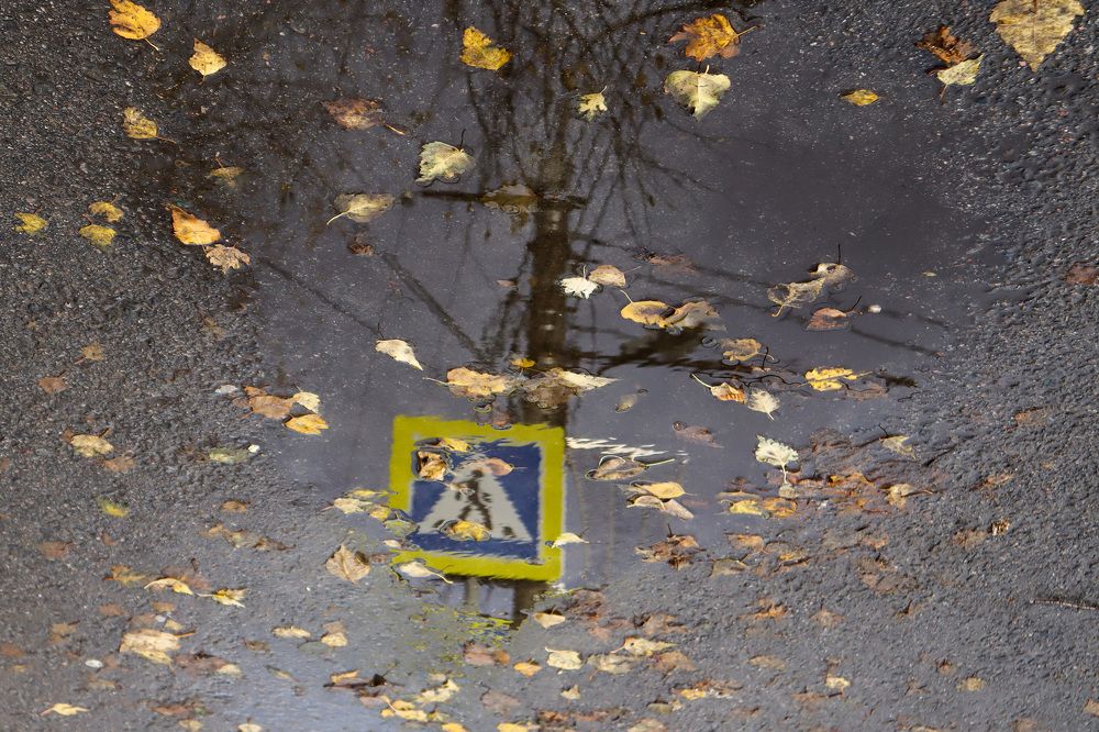 Photograph by Marina Gerasimova