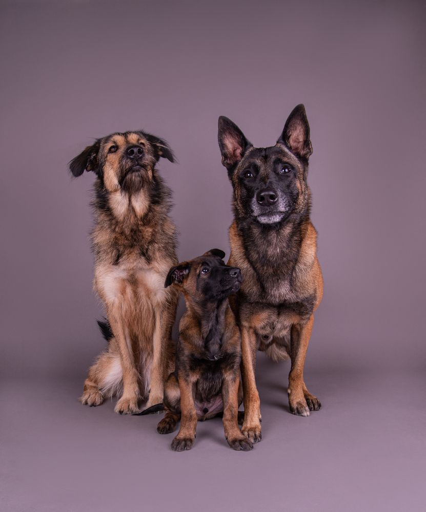 Photograph by наталья залогина