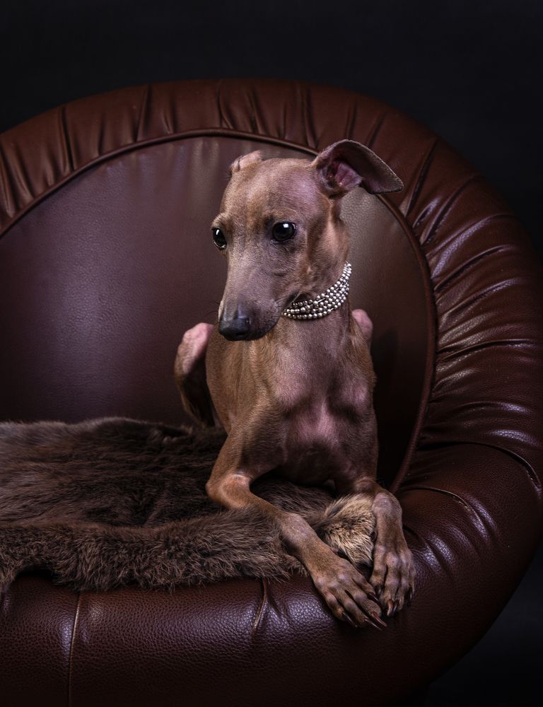 Photograph by наталья залогина