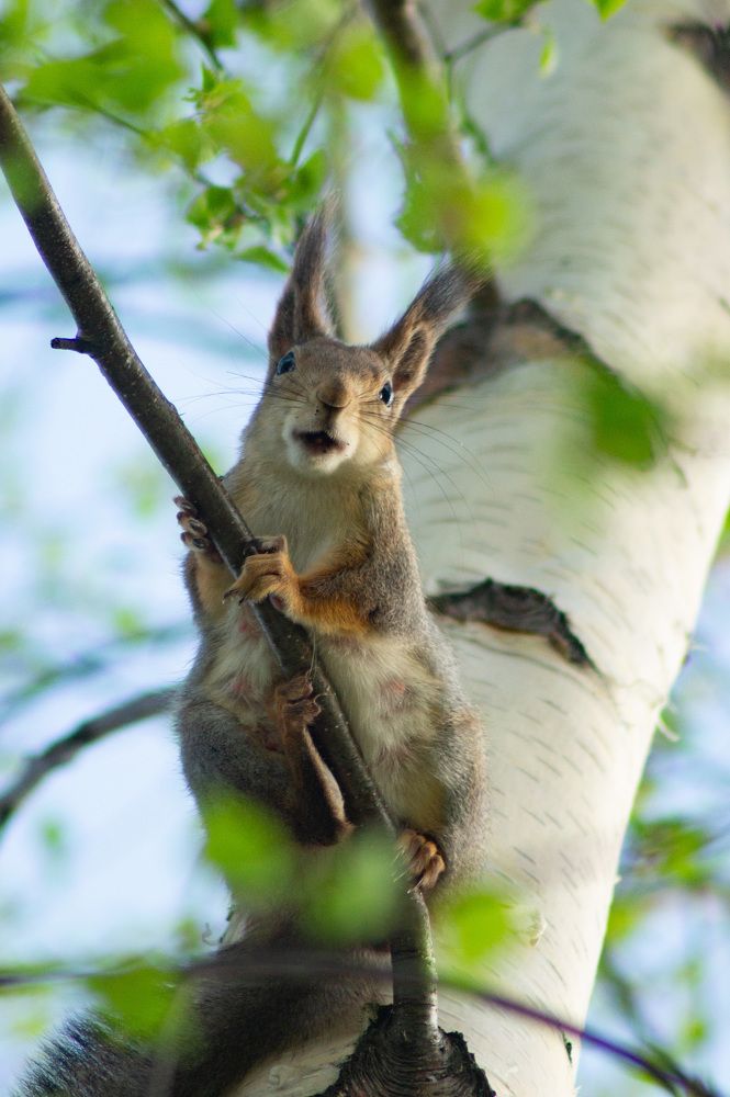 Photograph by Сергей Забиякин