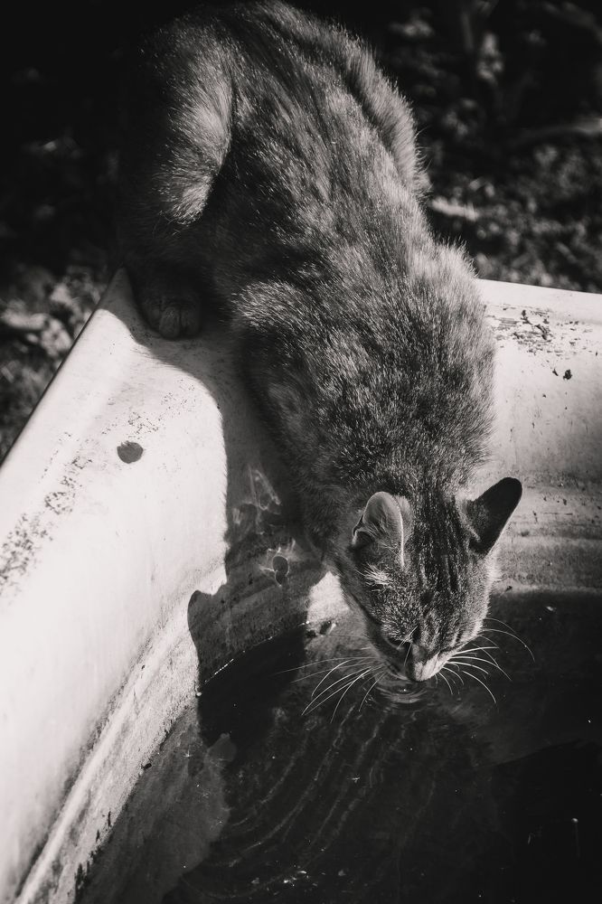 Фотография автора Войнов Дмитрий