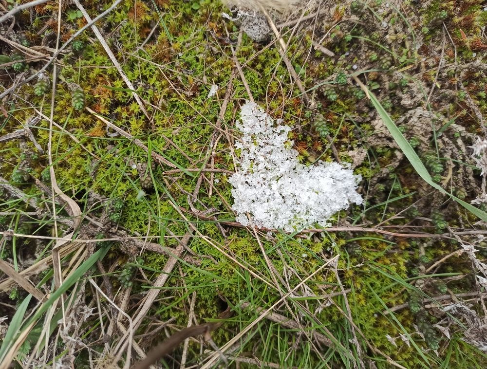 Фотография автора Иван