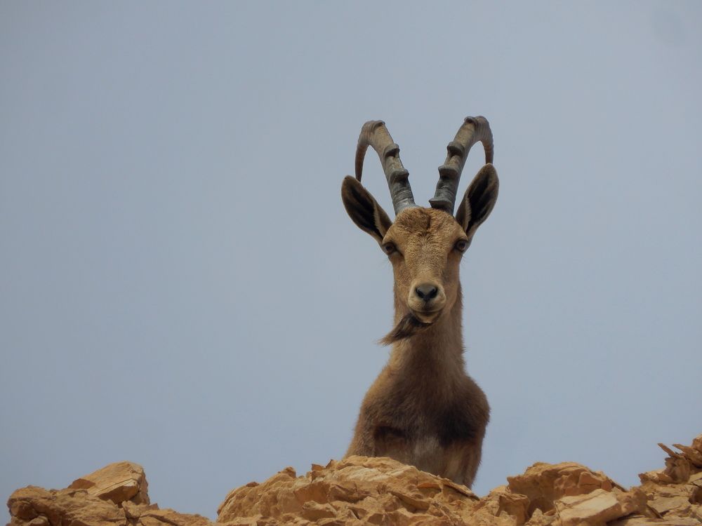Photograph by Olga Bokareva