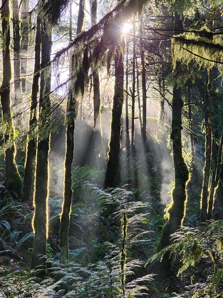 Photograph by Todd Angus