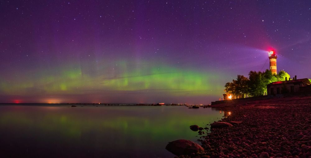 Photograph by Крицак Ольга