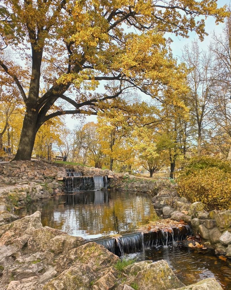 Photograph by Ирина Калюжная