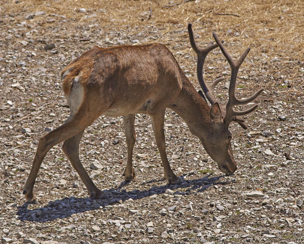 Photograph by Игорь Зиновьев