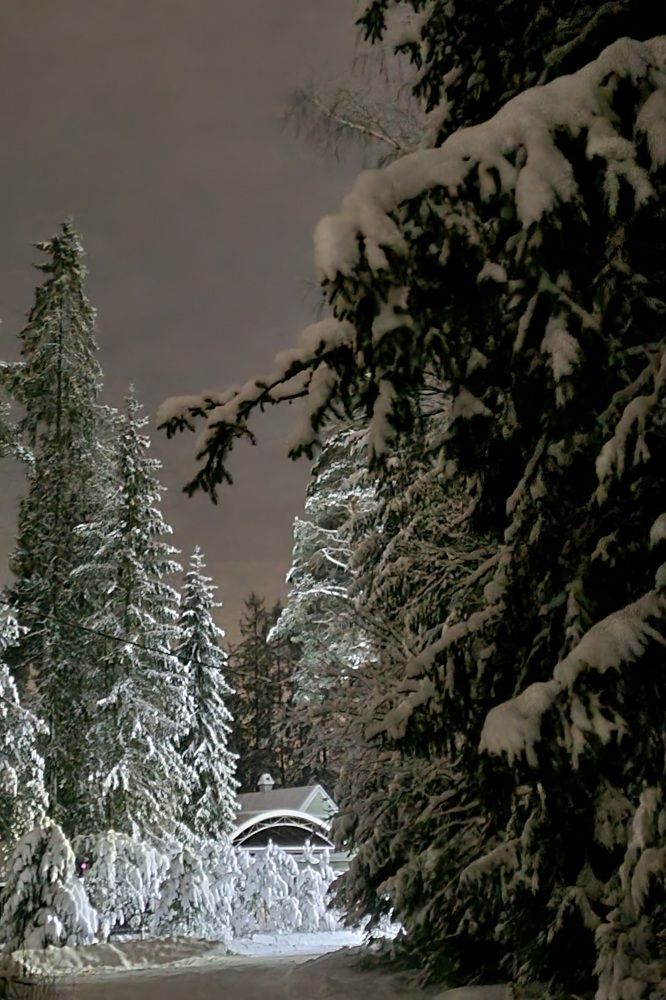 Photograph by Максим