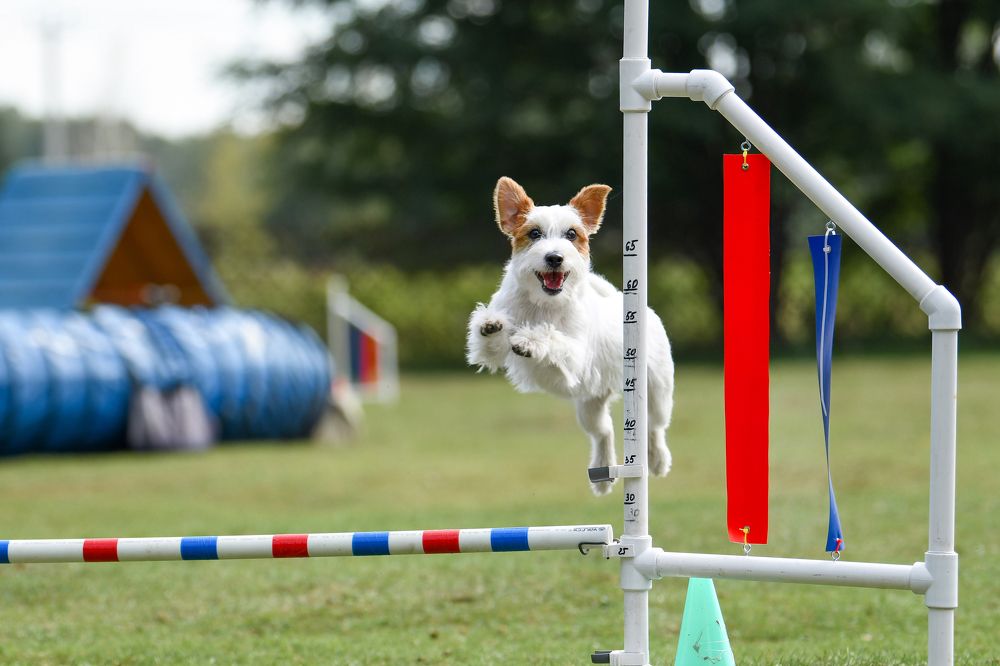 Фотография автора Алена Ковалёва
