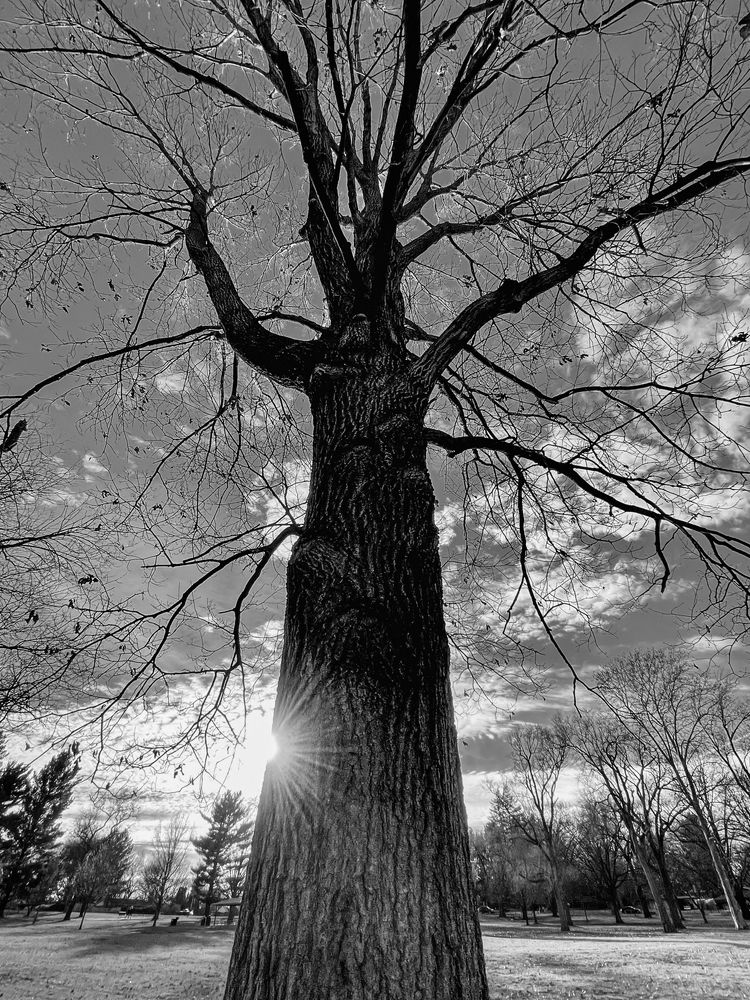 Photograph by PALLAVI