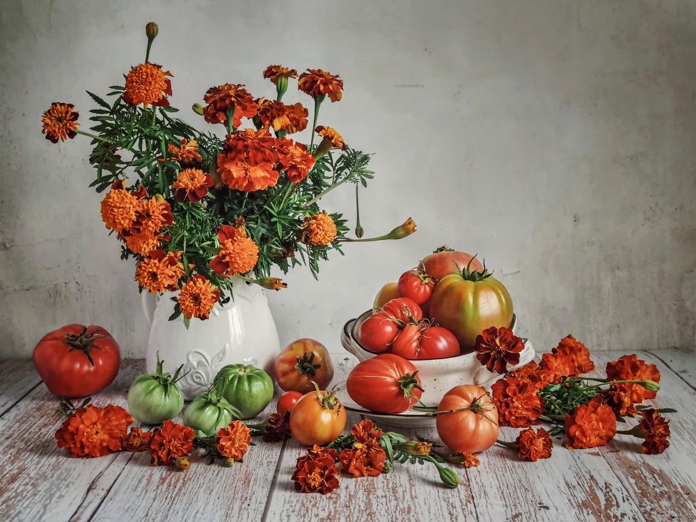 Photograph by Татьяна