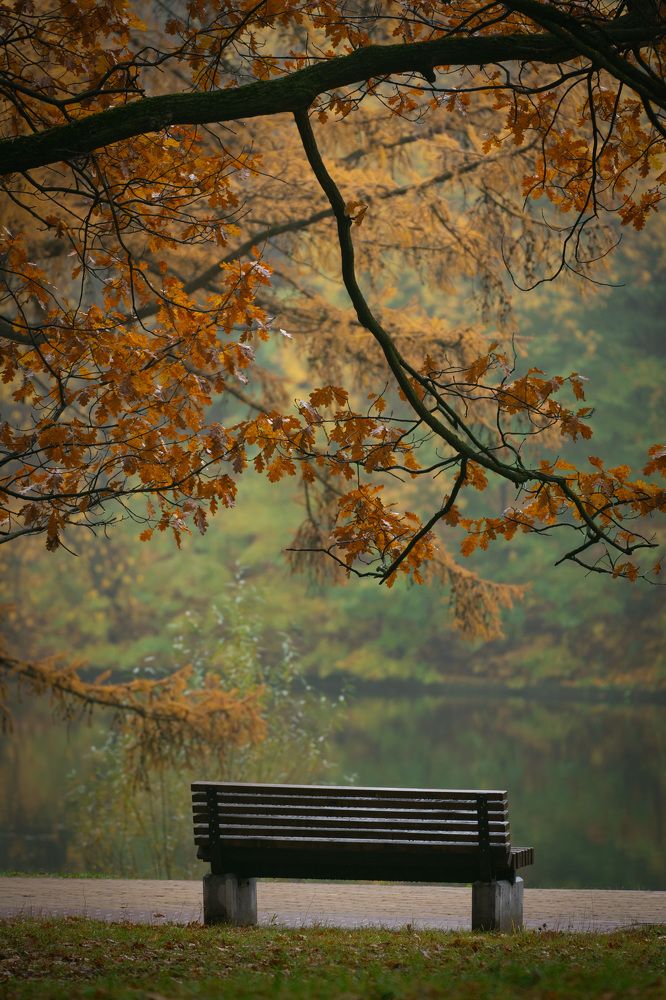 Photograph by Светлана Зимина