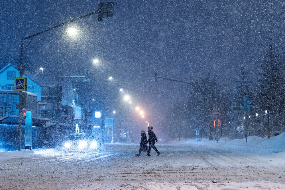 Фотография автора Светлана Зимина