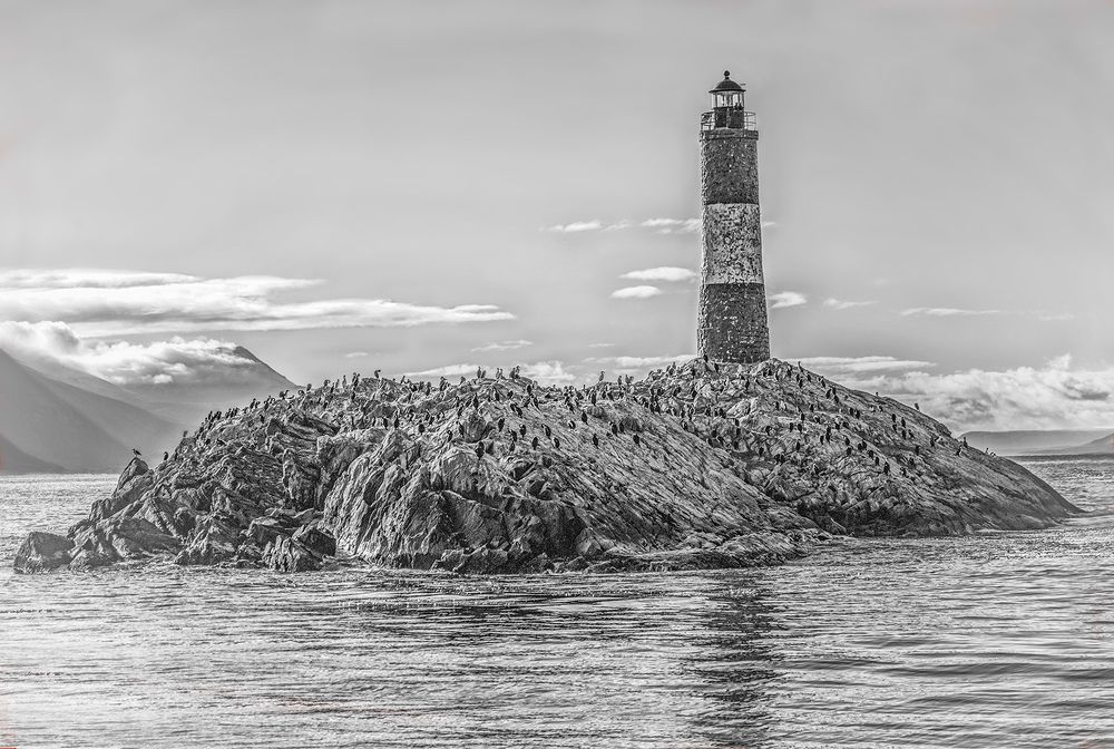 Фотография автора Marina Martorelli