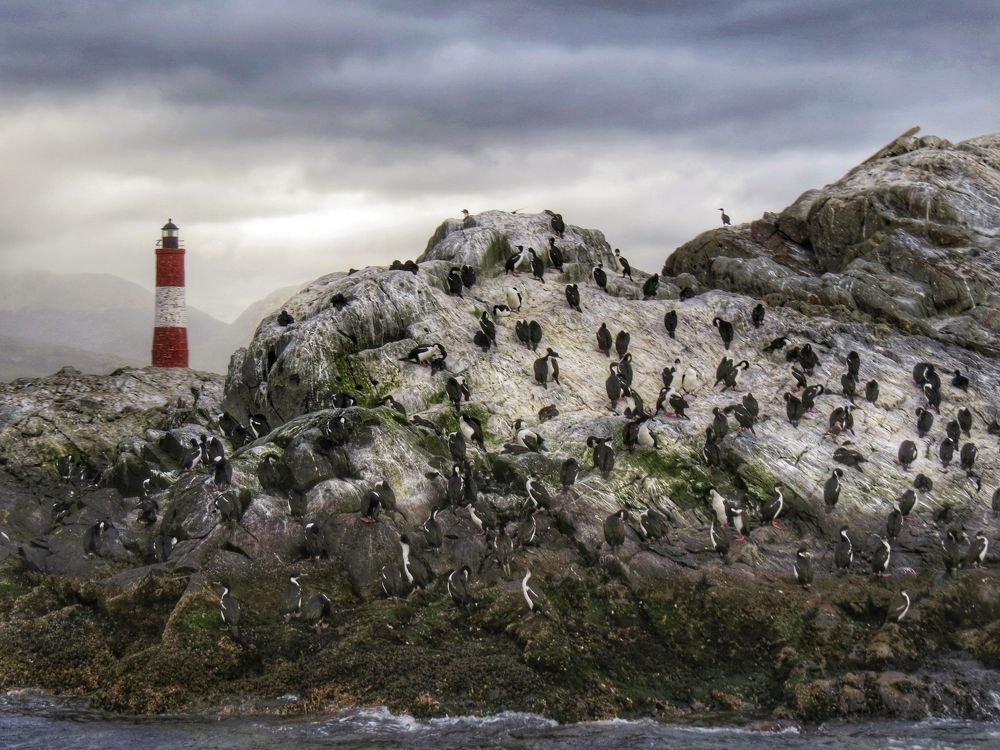 Photograph by Selçuk Tanaydın