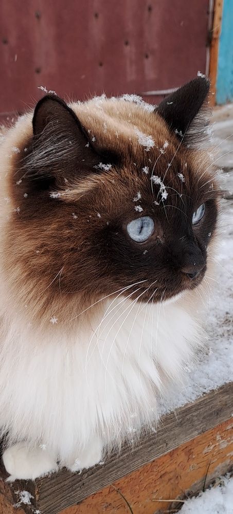 Photograph by Ирина Владимировна