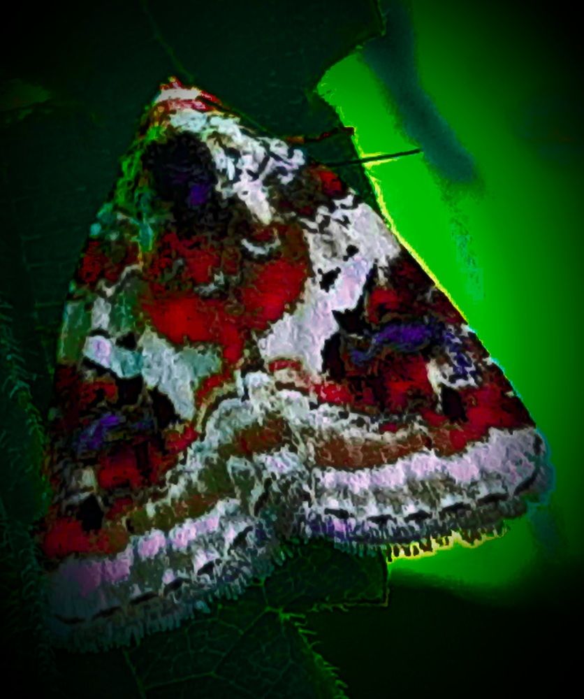 Photograph by Екатерина