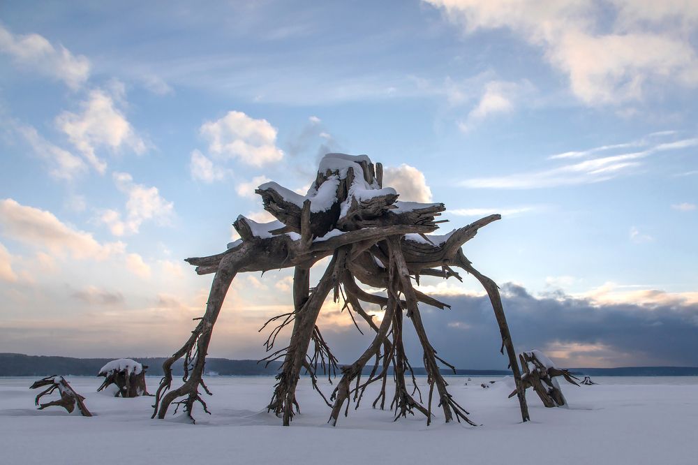 Photograph by Aleksei Utkin