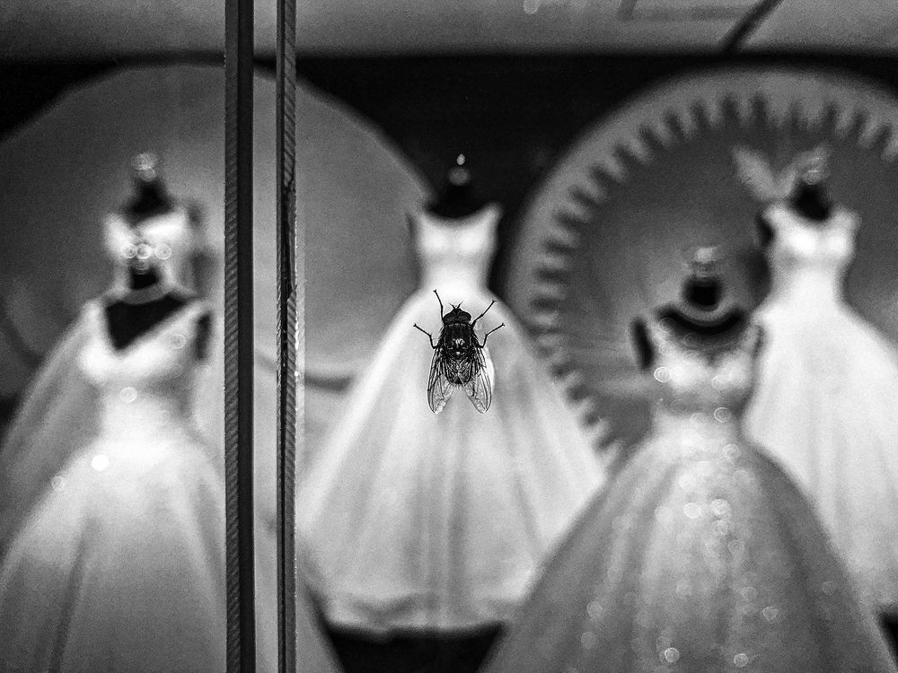 Фотография автора Ehsan Hemmati