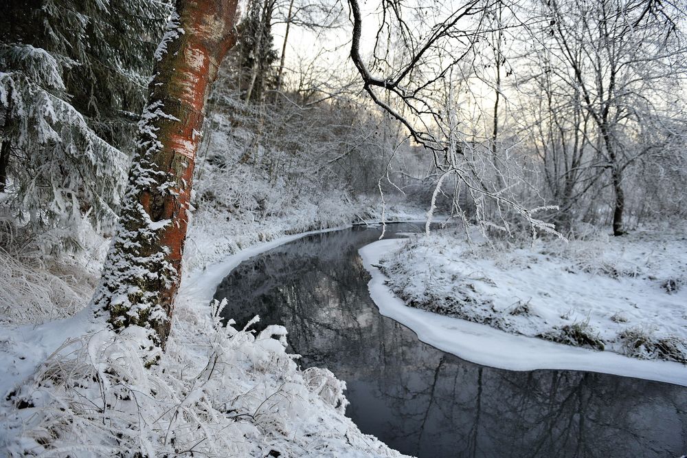 Изгибы зимы