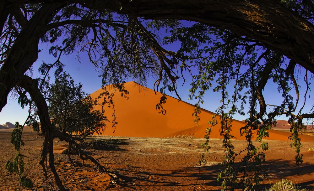 Красные пески Соссусфлей