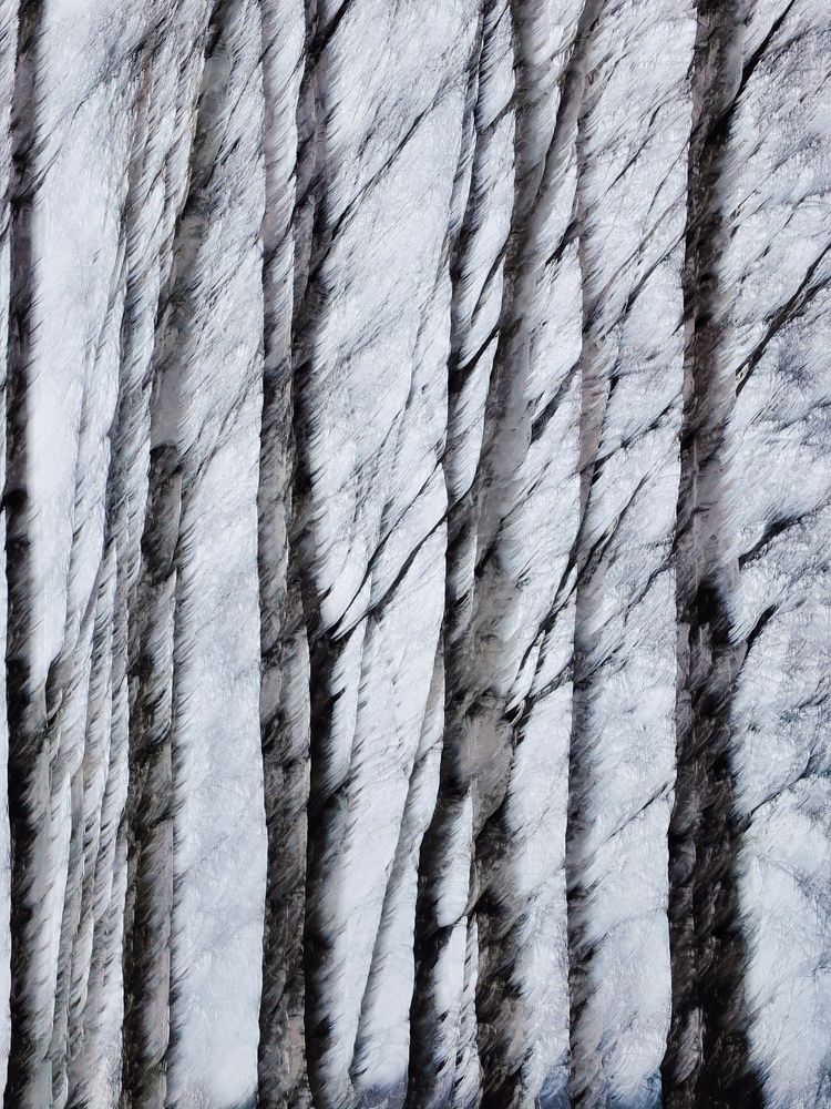 Photograph by Хомастя Настя