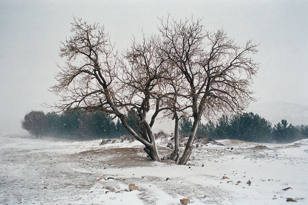 Фотография автора Ehsan Hemmati