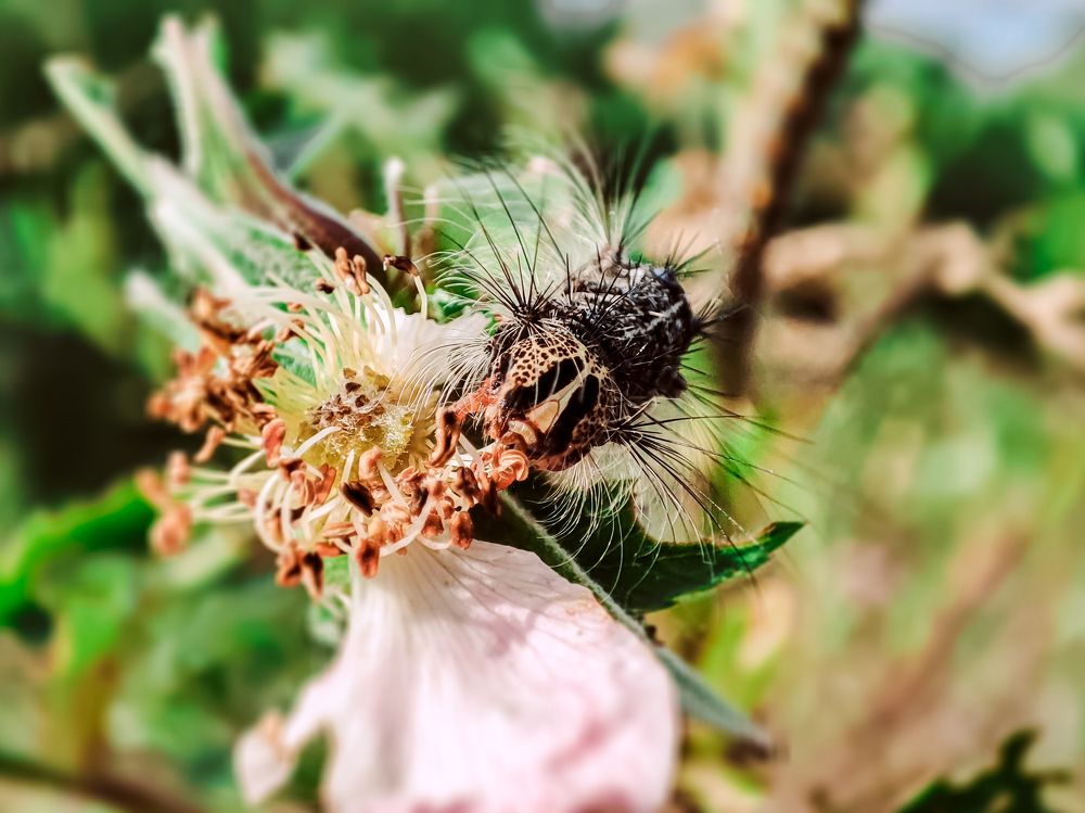 Photograph by Алексей