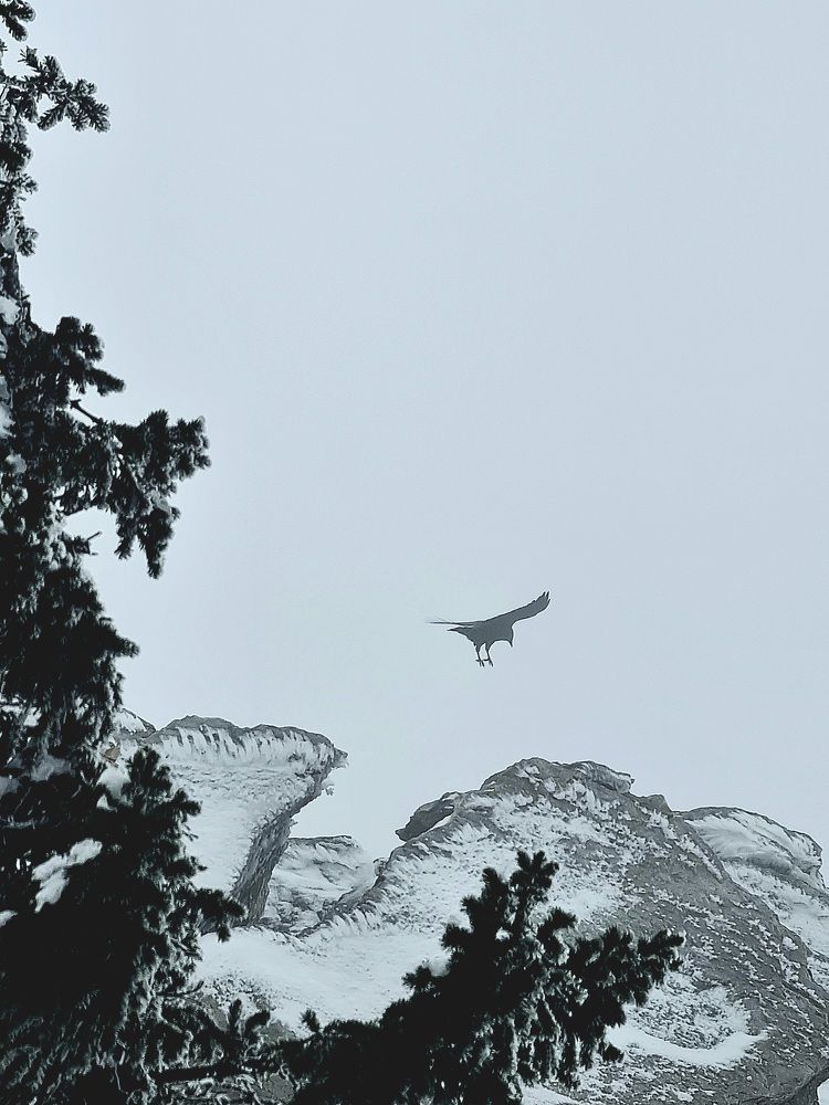 Photograph by Роман Малеев