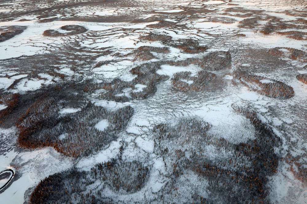 Саранпауль 1