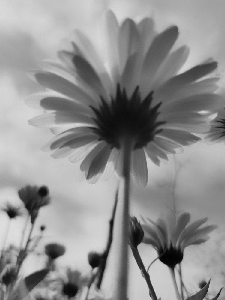 Photograph by Irina Luidinshina