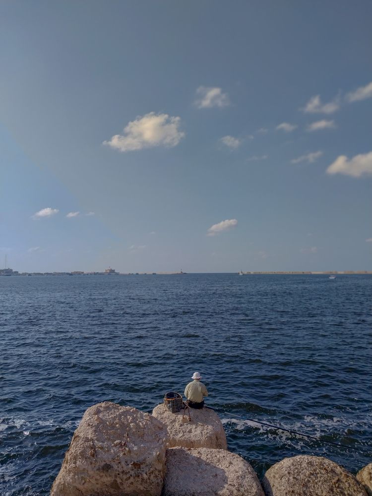 Фотография автора Mennatullah Dakhly